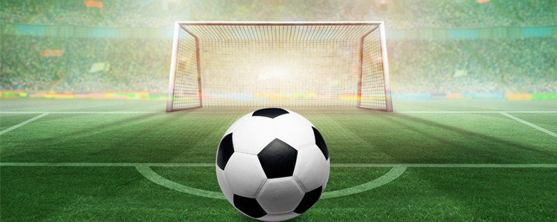 期待在未来 期待在未来