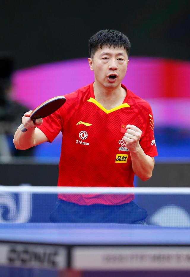 种几乎相同 种几乎相同