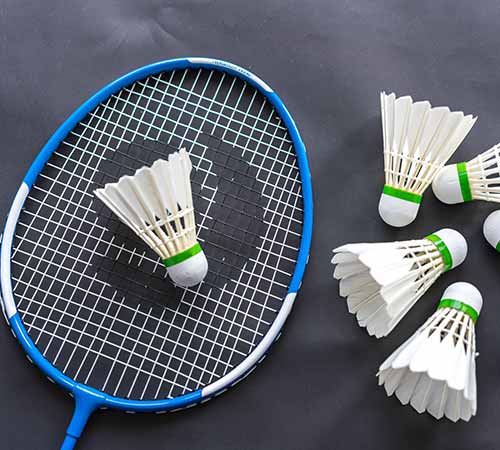 影响与展望 影响与展望